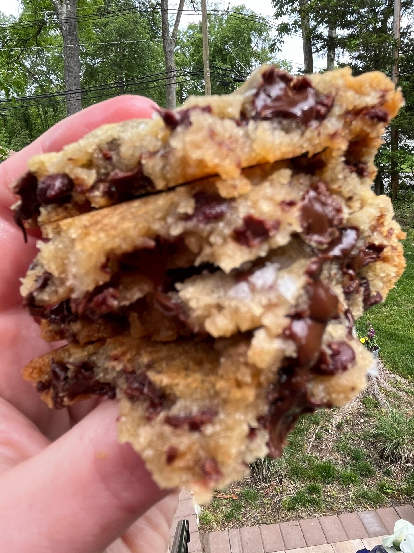 Salted Large Chocolate Chip Cookies